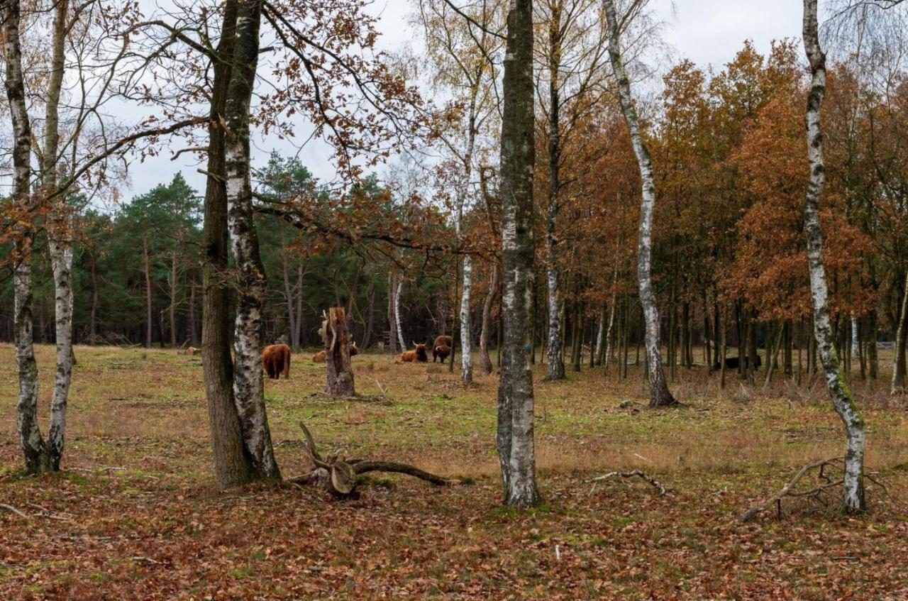 "Dennenhuisje" Op Bospark Ijsselheide Hattemerbroek ภายนอก รูปภาพ