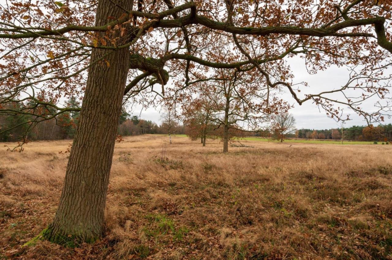 "Dennenhuisje" Op Bospark Ijsselheide Hattemerbroek ภายนอก รูปภาพ